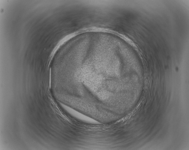 X0000081581223200702051231