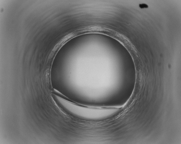 X0000081581225200702051231