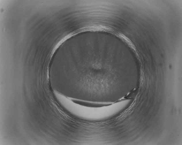 X0000081581226200702051231