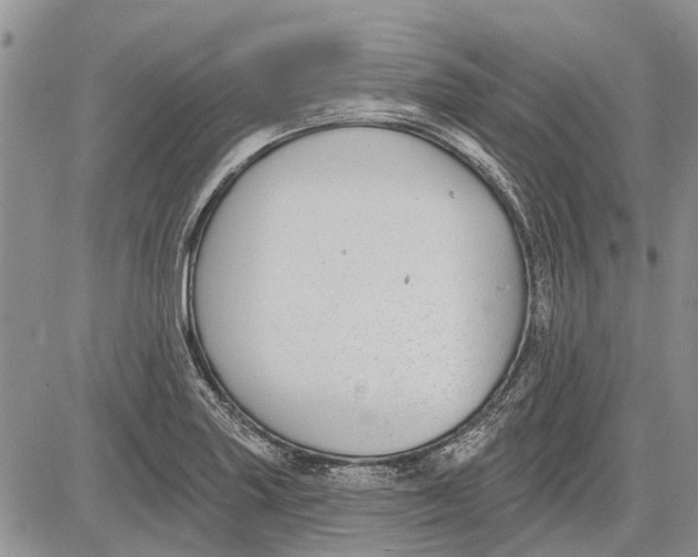 X0000081581227200702051231