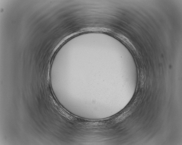 X0000081581228200702051231