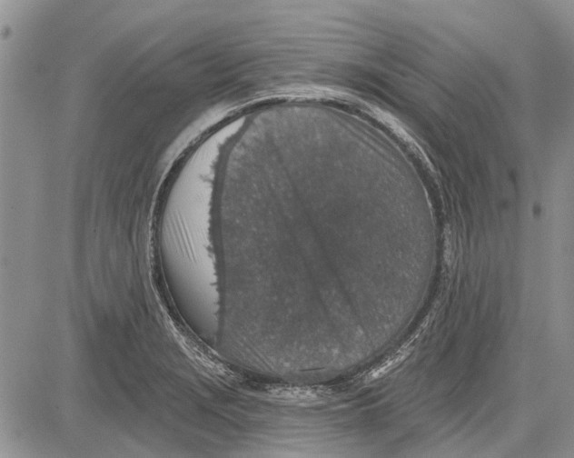 X0000081581229200702051231