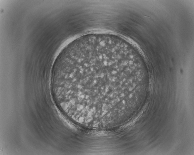 X0000081581231200702051231