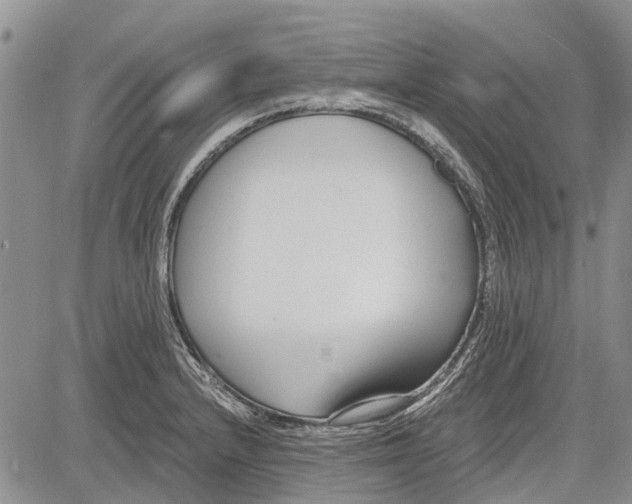 X0000081581232200702051231