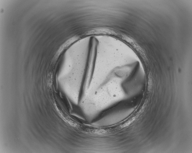 X0000081581233200702051231