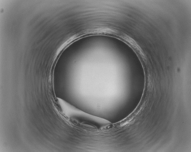 X0000081581234200702051231