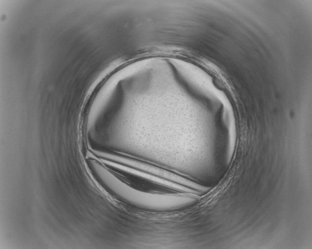 X0000081581235200702051231