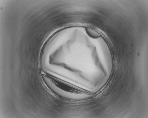 X0000081581236200702051231