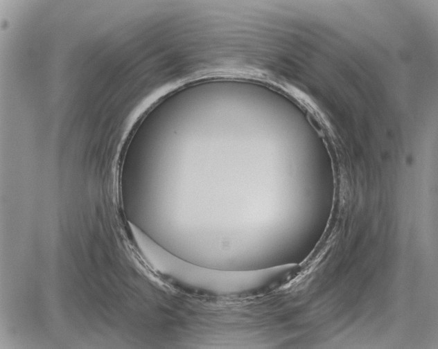 X0000081581238200702051231