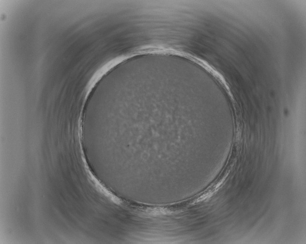 X0000081581239200702051231