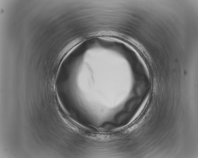 X0000081581241200702051231