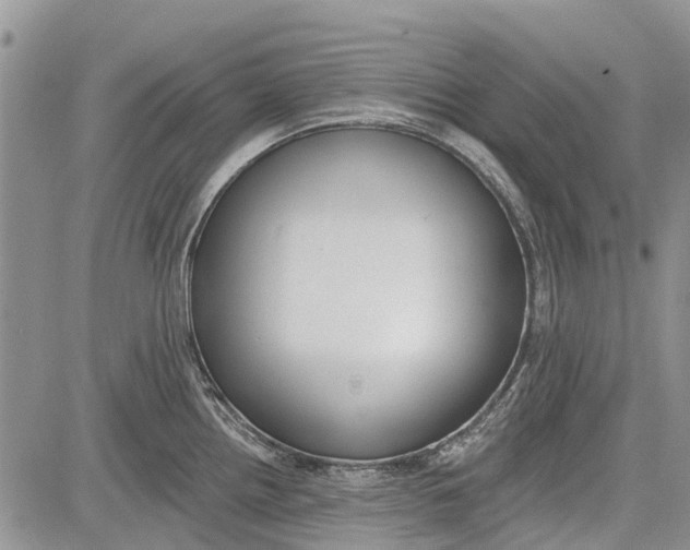 X0000081581242200702051231