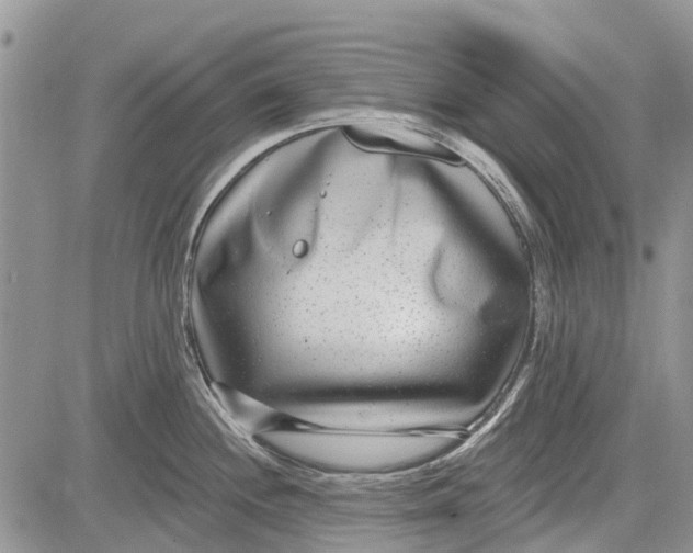 X0000081581244200702051231