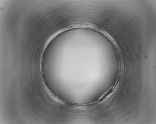 X0000081581246200702051231