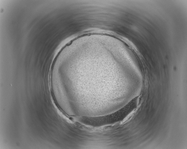 X0000081581247200702051231