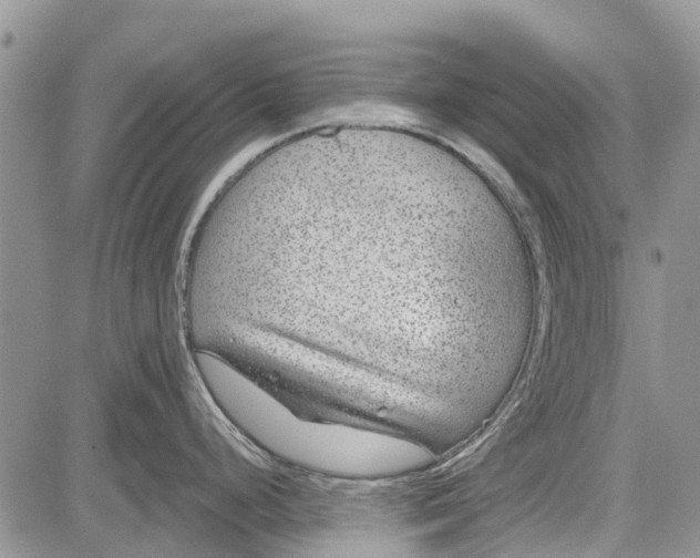 X0000081581248200702051231