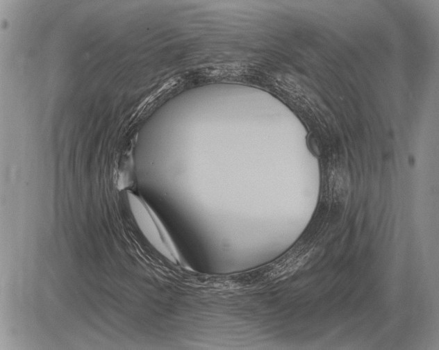 X0000081581250200702051230