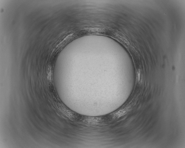 X0000081581251200702051230