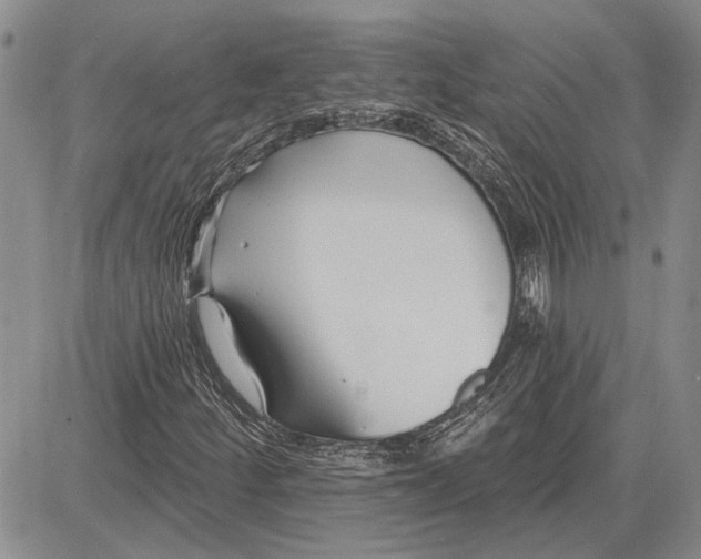 X0000081581252200702051230