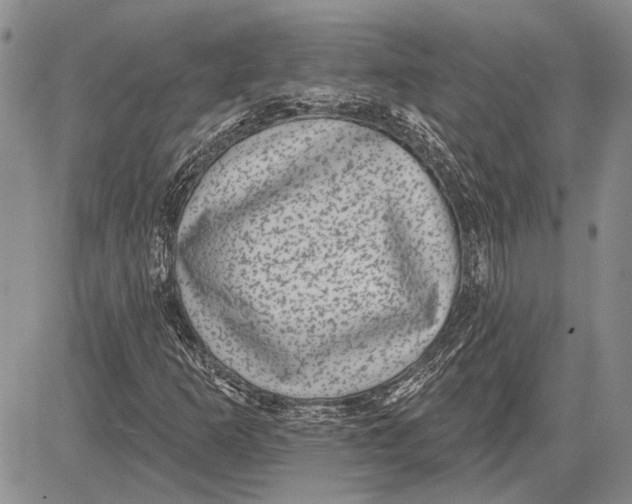 X0000081581253200702051230