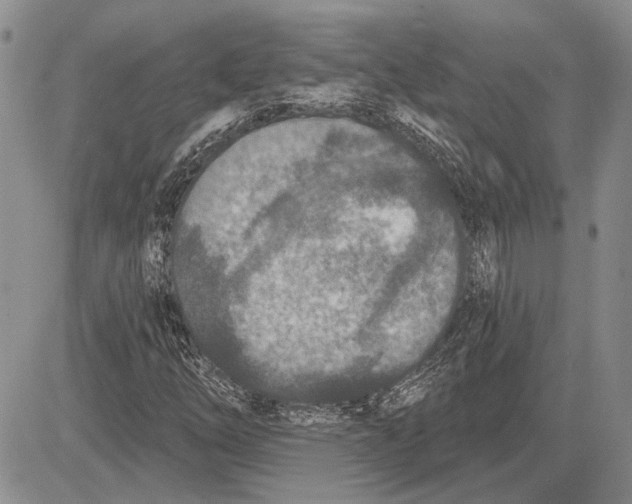 X0000081581254200702051230