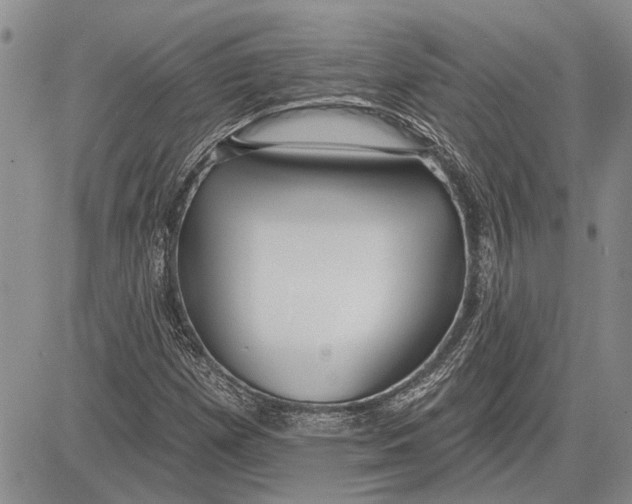 X0000081581257200702051230