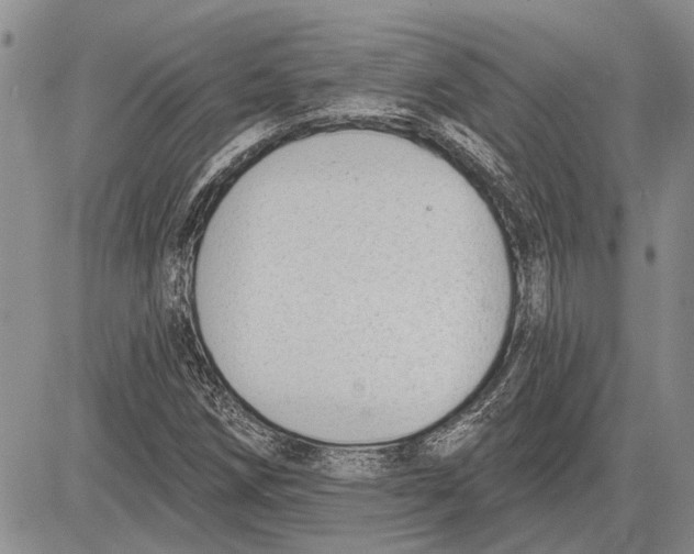 X0000081581258200702051230