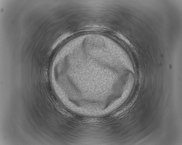 X0000081581259200702051230