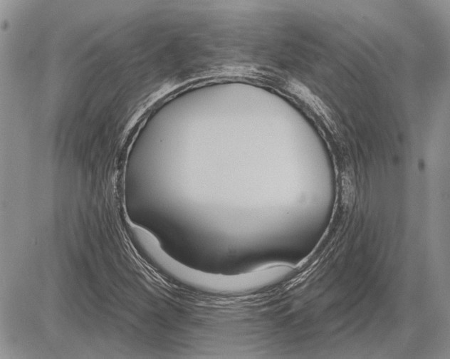 X0000081581260200702051230