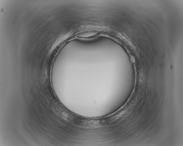 X0000081581261200702051230