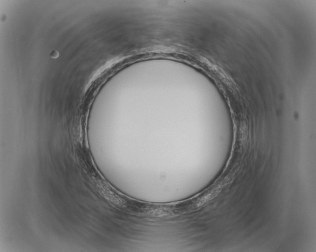 X0000081581262200702051230