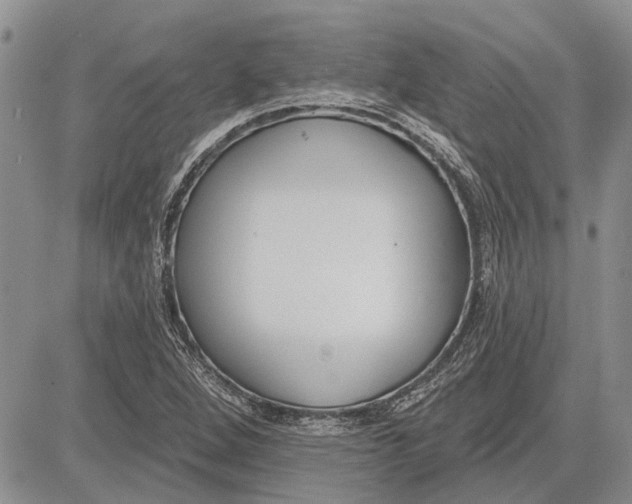 X0000081581264200702051230