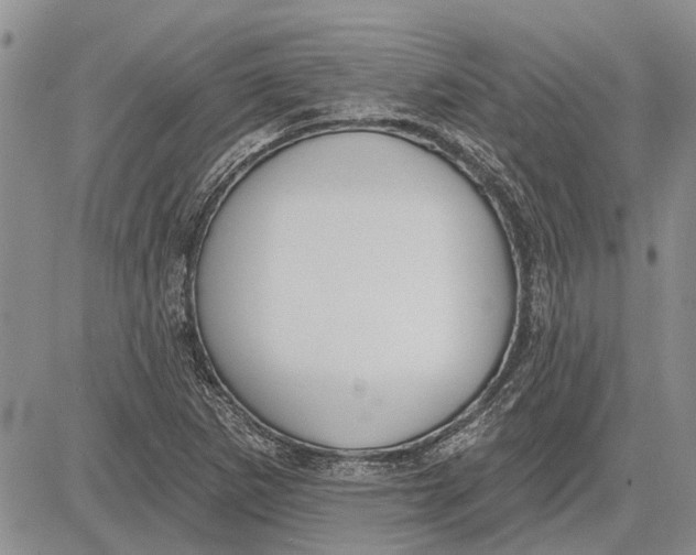 X0000081581265200702051230