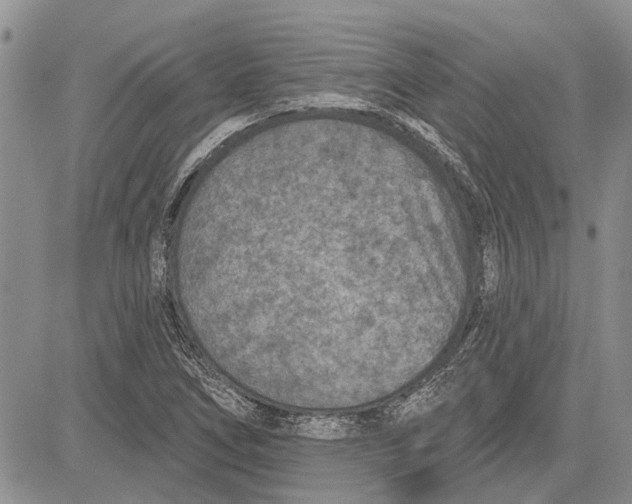 X0000081581266200702051230