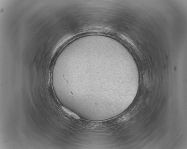 X0000081581267200702051230