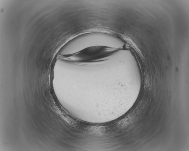 X0000081581268200702051230