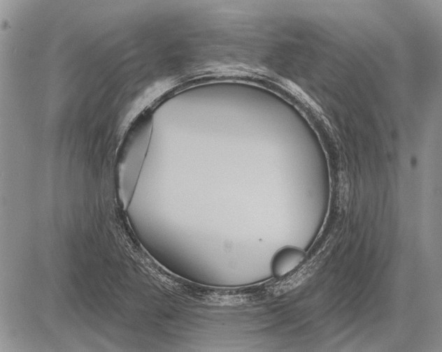 X0000081581269200702051230