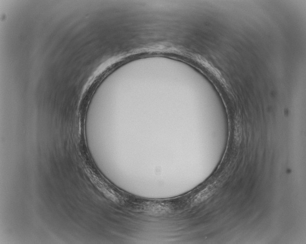 X0000081581270200702051230