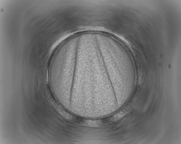 X0000081581271200702051230