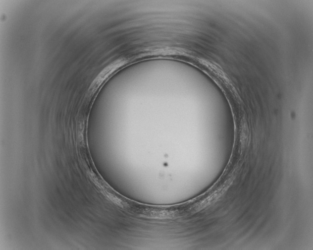 X0000081581273200702051230