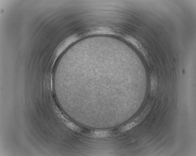 X0000081581274200702051230