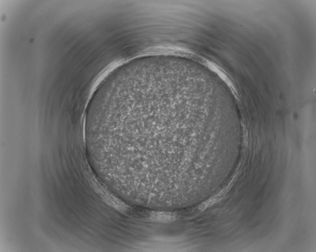 X0000081581275200702051230