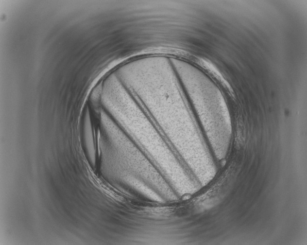 X0000081581276200702051230