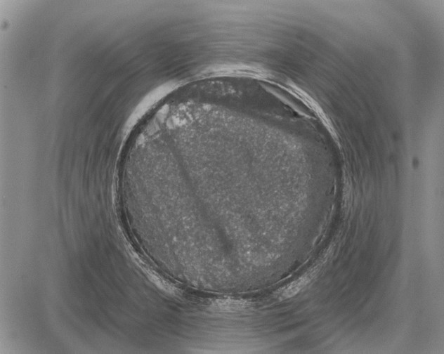 X0000081581277200702051230