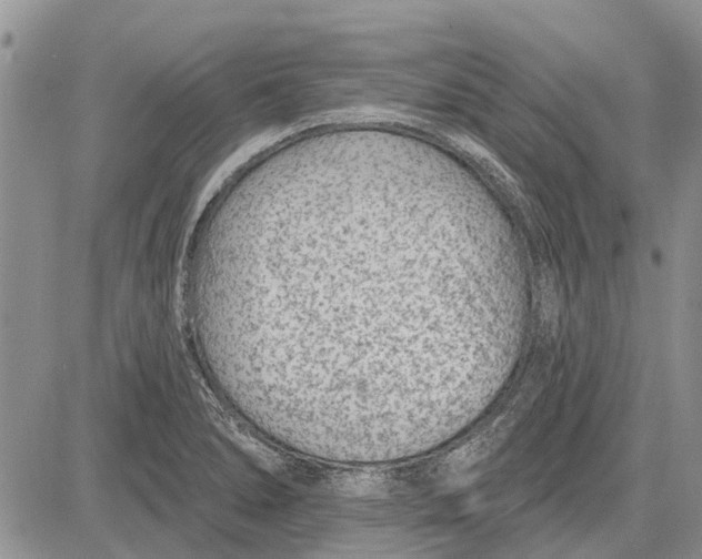 X0000081581278200702051230