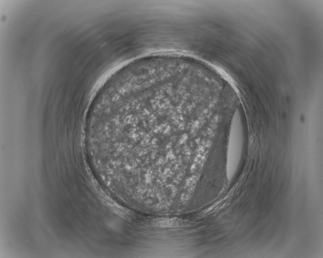 X0000081581279200702051230