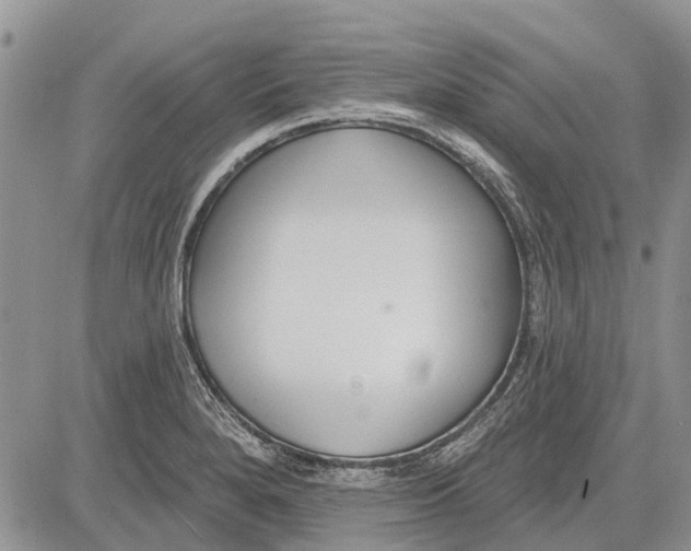 X0000081581280200702051230