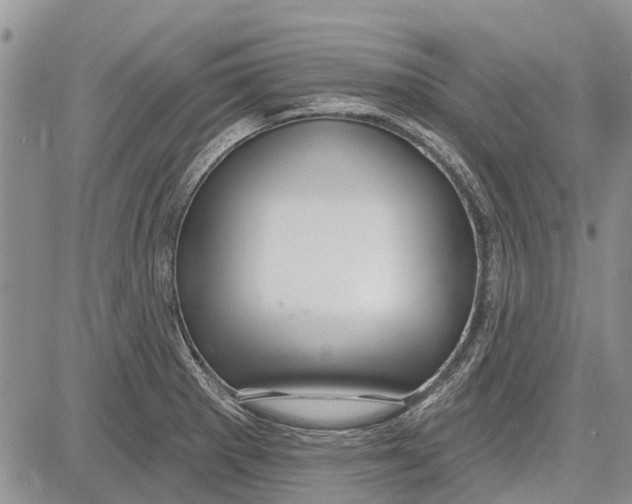 X0000081581281200702051230