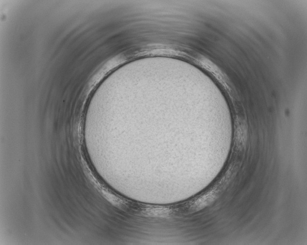 X0000081581282200702051230