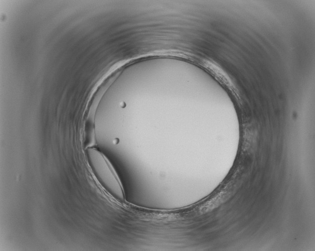 X0000081581284200702051230